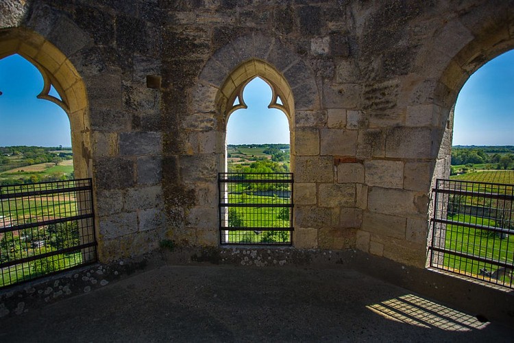 33189966554_53fbc6ab23_c