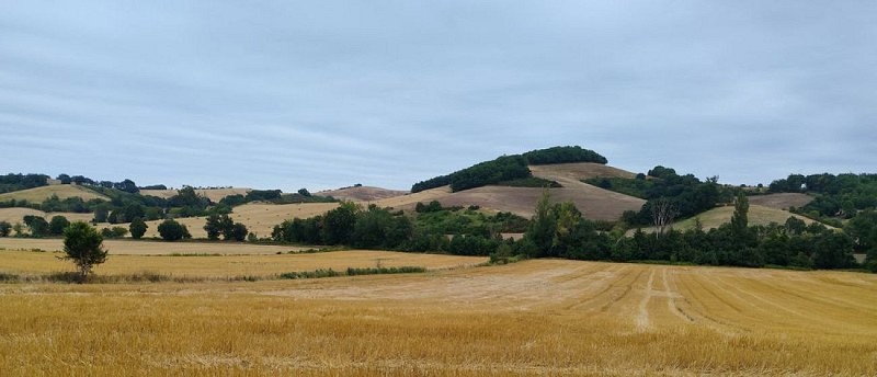 N°4  Bleu: Vallée de la Save et de la Gesse