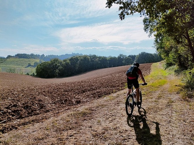 N°3 Vert: Vallée de la Save et de Larjo