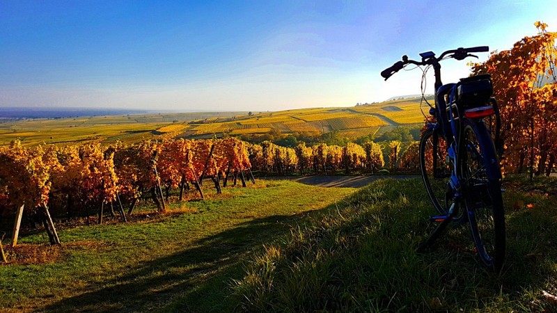 Le paysage à bicyclette