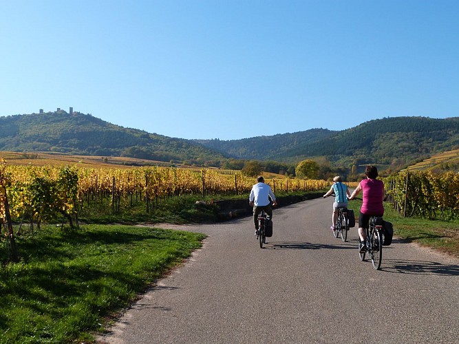 Le paysage à bicyclette