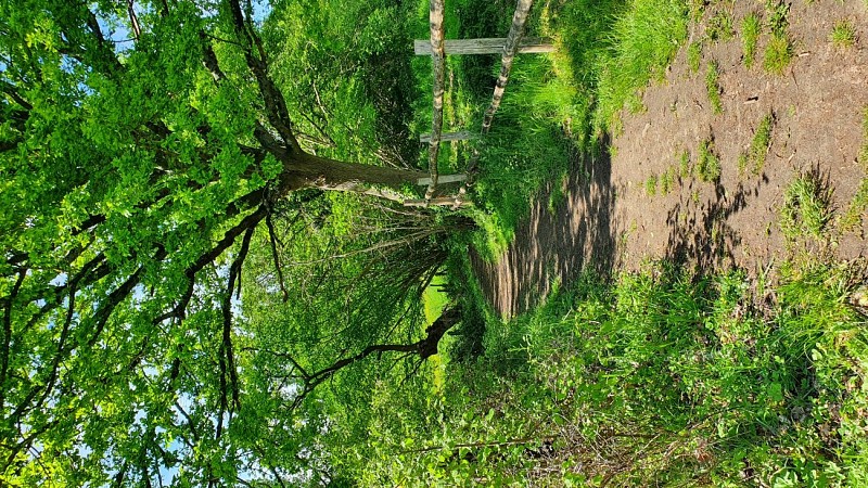 Chemin Sargé ©AS OT Le Mans Métropole