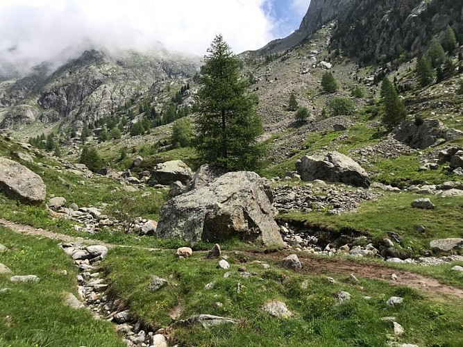 Balade sur les traces de Belle et Sébastien
