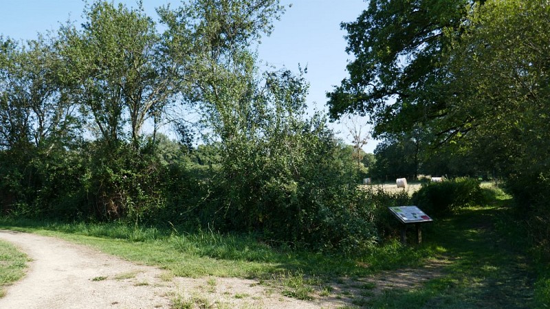 Promenons-nous à Toutlemonde : La Promenade du Trézon