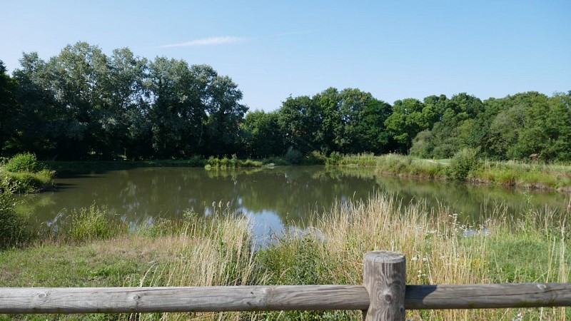 Promenons-nous à Toutlemonde : La Promenade du Trézon