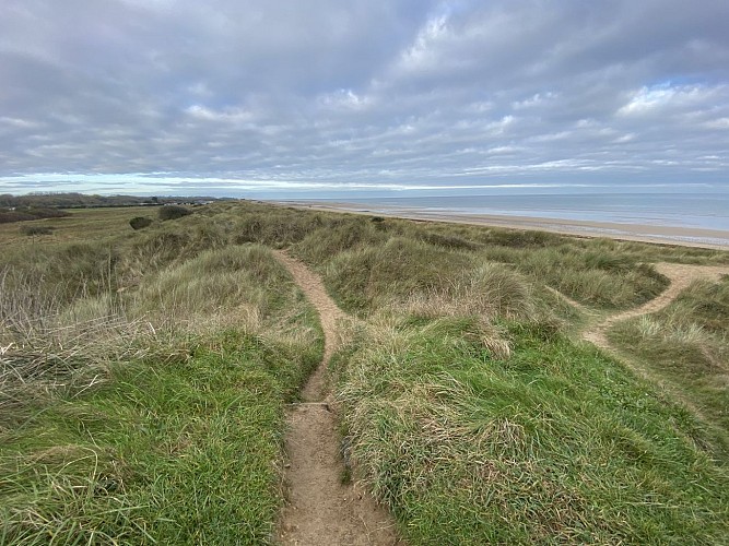 randonnee-balade-de-courseulles-sur-mer-a-graye-sur-mer-novembre-2021-credit-anne-perez-nedelec (11) (3)