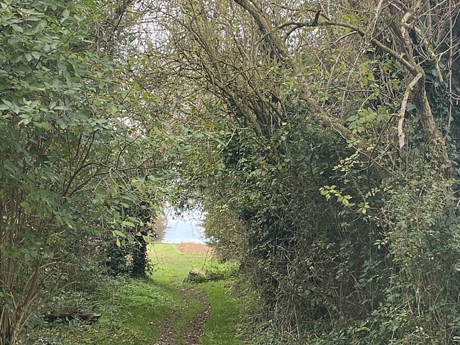 randonnee-balade-de-courseulles-sur-mer-a-graye-sur-mer-novembre-2021-credit-anne-perez-nedelec--paysage