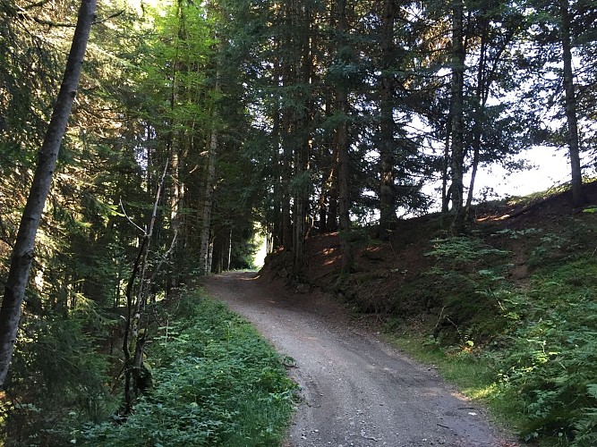 Les chalets de l'Avenaz - hiking trail_Cordon