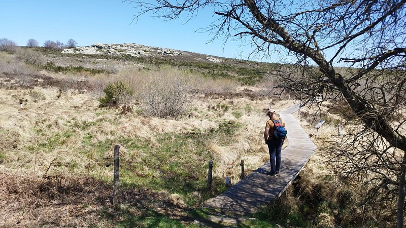 Le sommet du Caroux_Rosis