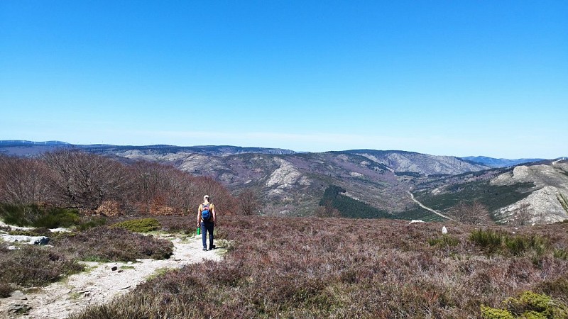 Le sommet du Caroux_Rosis