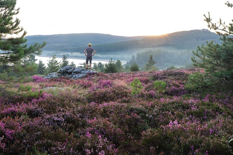 Le Tour du lac de Vésoles_Fraisse-sur-Agout