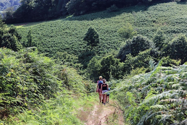 Sentier Prévert