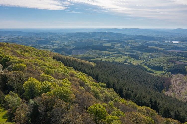 Mont Beuvray ©Les Coflocs