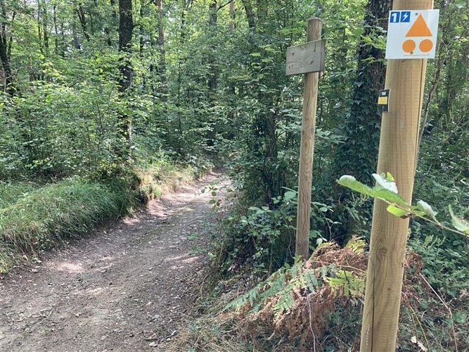 N°1 Promenade aux champs_Aveizieux