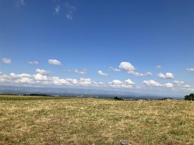 N°1 Promenade aux champs_Aveizieux