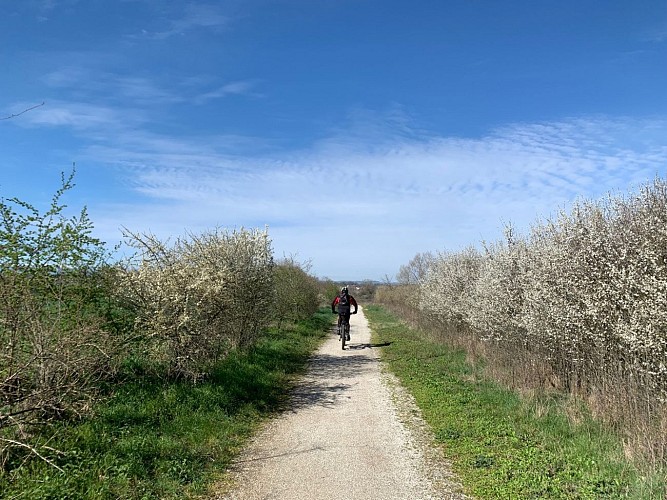 N°6 Parcours des Varennes