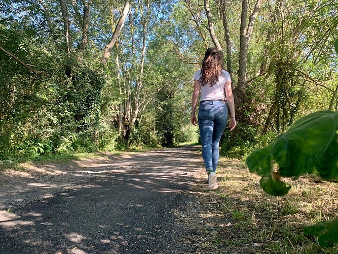 Autour de l'Abbaye d'Asnières