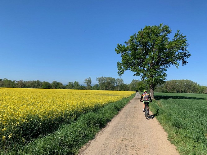 Bords de Loire côté plaine