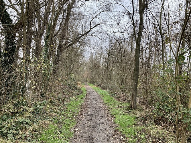 N°7 Les bords de Loire, côté plaine_Montrond-les-Bains