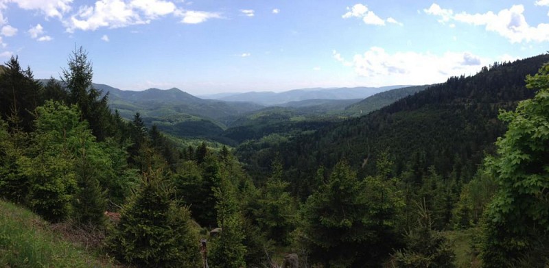 Panoramique des Vosges du Nord