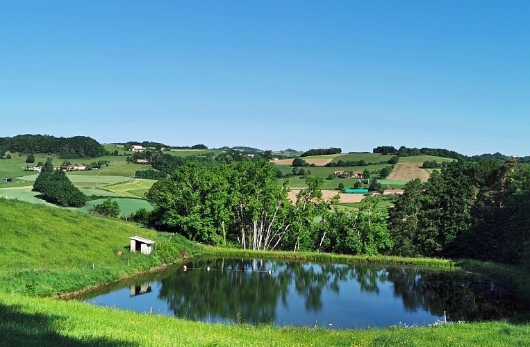 De St-Martin-en-Haut à St-Symphorien-sur-Coise par le GR® 765, chemin de Compostelle