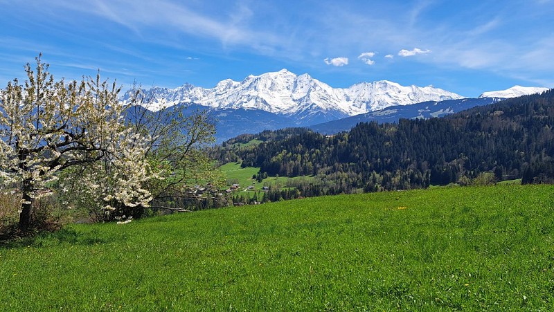 Stroll through the mountain pastures - hiking trail_Cordon