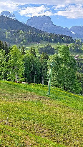 Stroll through the mountain pastures - hiking trail_Cordon