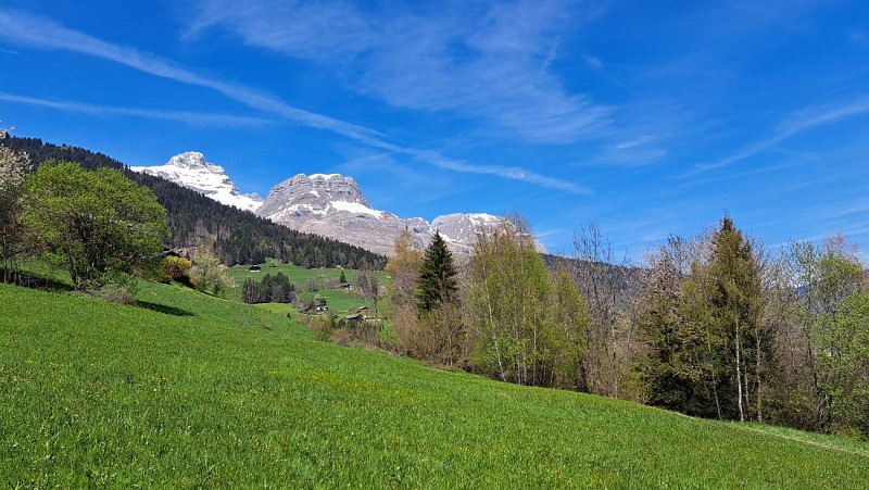 Passeggiata attraverso gli alpeggi - sentiero_Cordon
