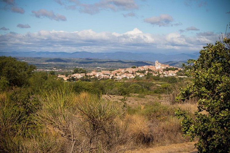 OENORANDO® LES HAUTS DE CORNEILHAN