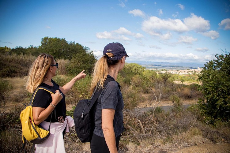 OENORANDO® LES HAUTS DE CORNEILHAN