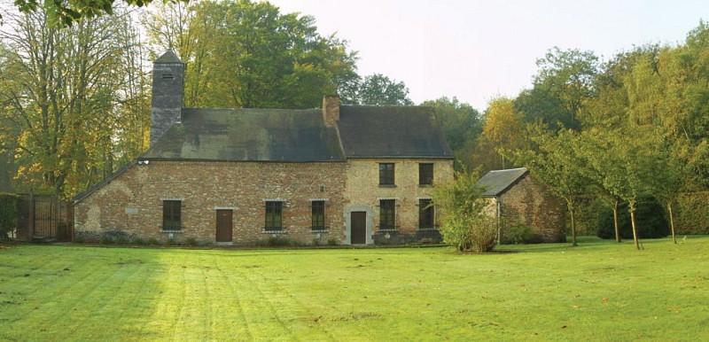 Le bois de Mariemont et ses trésors cachés