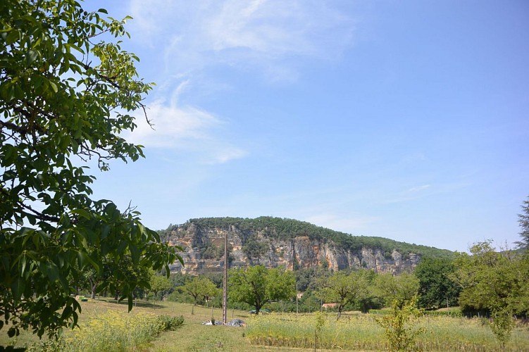 paysage