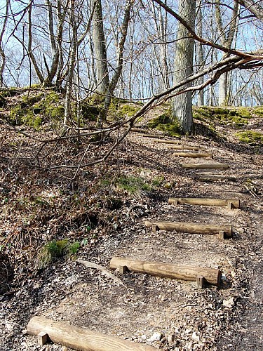 Sentier du Maquis