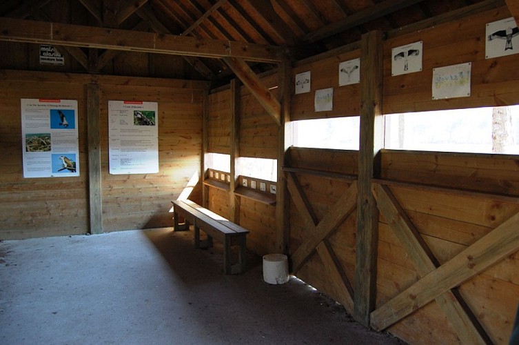 Sentier de l'observatoire du Ravoir