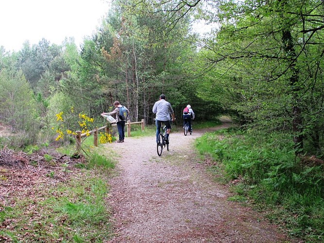 Sentier de l'observatoire du Ravoir