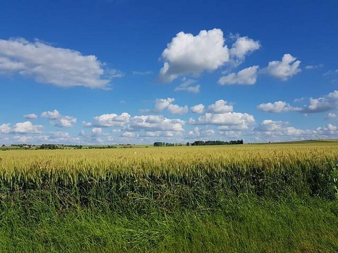 Quand Aliénor regarde Richelieu - Circuit n°61