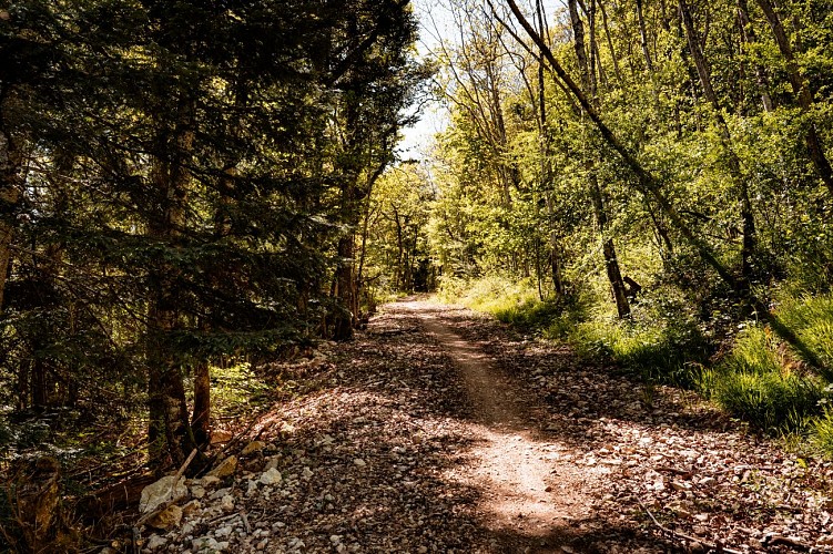 Anello a piedi : chemin du Funiculaire_Monnetier-Mornex