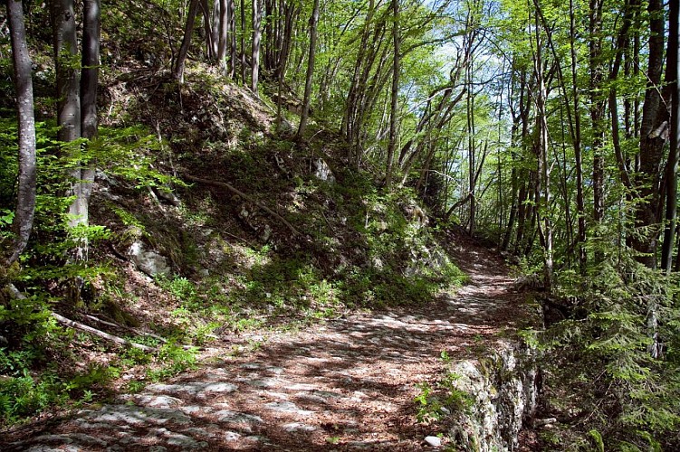 Les crêtes de la montagne de l'Épine