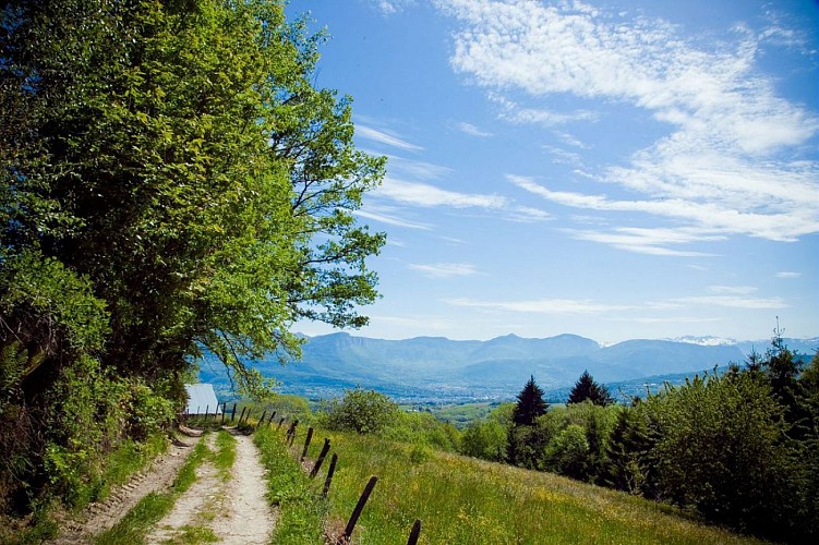 Les crêtes de la montagne de l'Épine