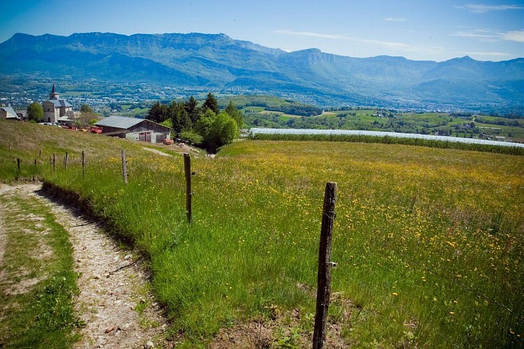 Les crêtes de la montagne de l'Épine