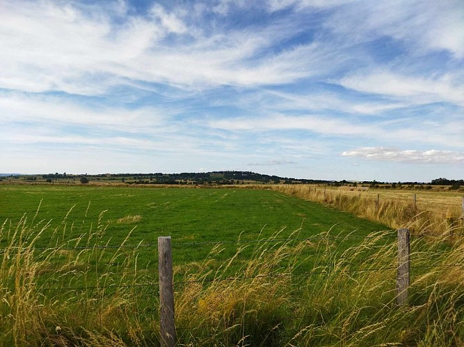 Entre Truyère et Planèze 3