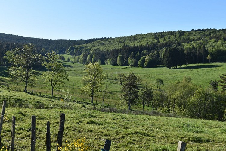 Paysage Margeride-Cantal-Auvergne