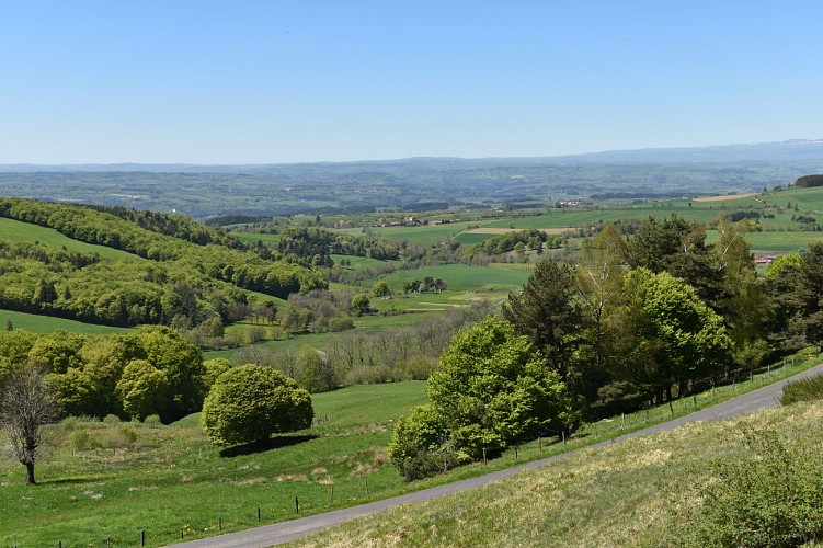 Hauteurs de Clavières-Margeride-Cantal-Auvergne