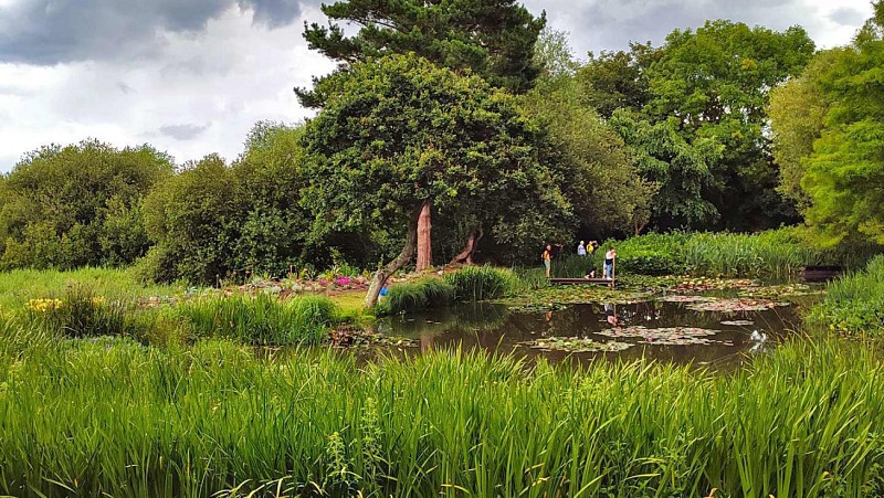 Jardin botanique du Pellinec