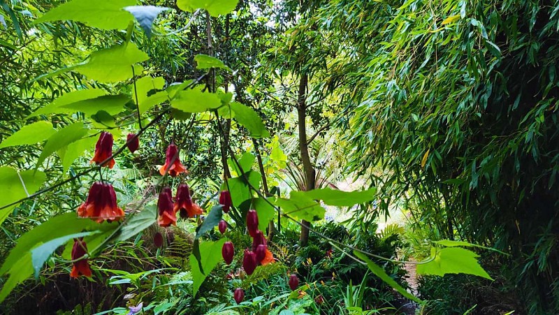 Jardin botanique du Pellinec