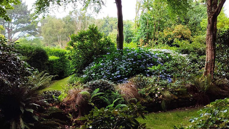 Jardin botanique du Pellinec