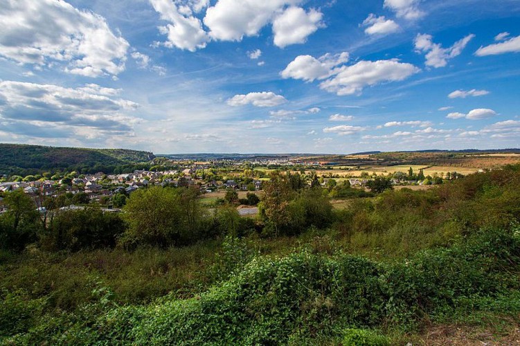 Paysage de la Famenne