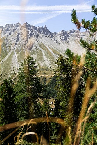 Taure educational trail in the Bois des Ayes biological reserve