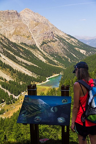 Il sentiero didattico della Taure nella riserva biologica del Bois des Ayes