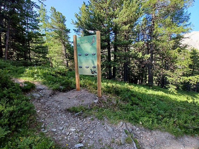 Il sentiero didattico della Taure nella riserva biologica del Bois des Ayes